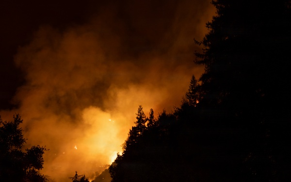Timber Fire