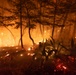 Timber Fire