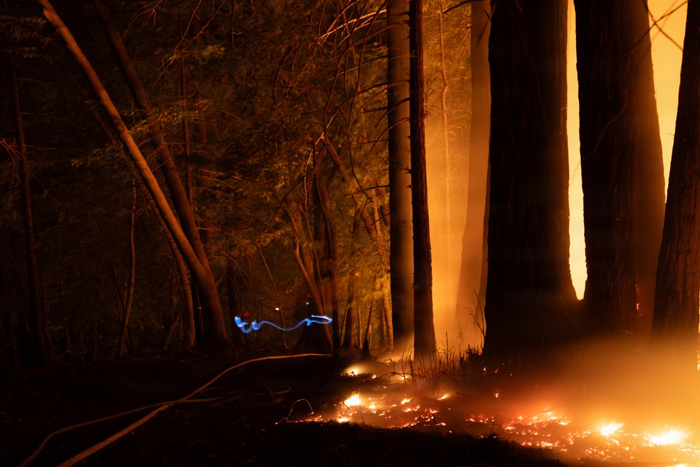 A nighttime forest fire photograph captured with a long exposure technique. Ground-level flames and embers are visible along the forest floor, with large tree trunks illuminated by intense orange firelight from the right side. A blue light trail, consistent with a flashlight or torch moved during a long-exposure shot, is visible in the mid-ground.