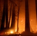 Timber Fire