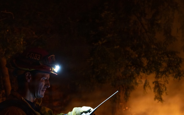 Timber Fire