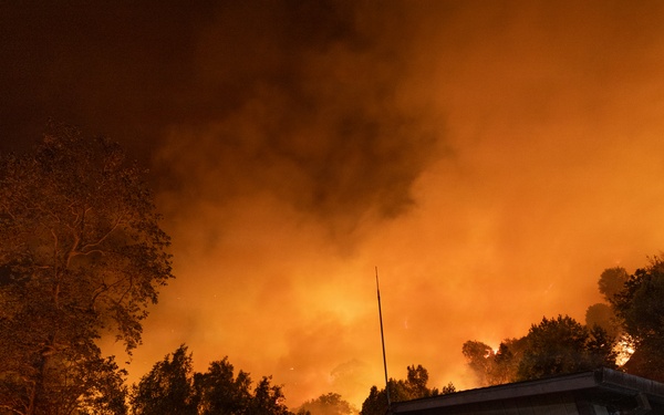 Timber Fire
