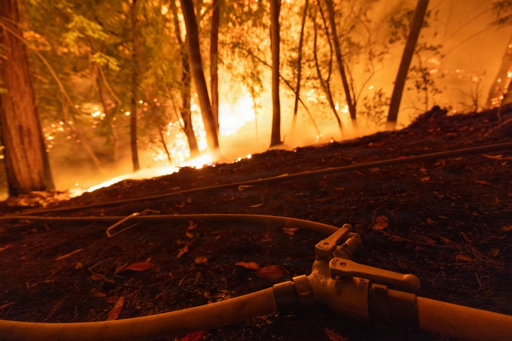 A wildfire burns intensely through a forested hillside at night, with flames and orange glow visible between tree trunks. In the foreground, an unmanned fire hose with a metal nozzle/coupling lies on scorched ground, indicating active firefighting operations. The scene depicts a close-range firefighting position with the fire line visible just uphill.