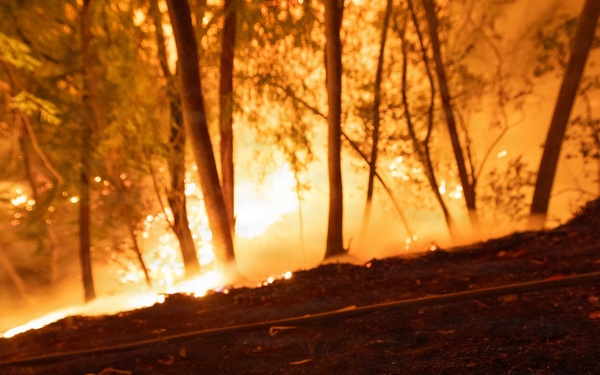 Timber Fire