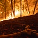 A wildfire burns intensely through a forested hillside at night, with flames and orange glow visible between tree trunks. In the foreground, an unmanned fire hose with a metal nozzle/coupling lies on scorched ground, indicating active firefighting operations. The scene depicts a close-range firefighting position with the fire line visible just uphill.