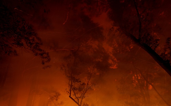 Timber Fire