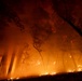 A large-scale wildfire burning through a forested area at night, with intense orange and red flames consuming the ground vegetation and illuminating the tree trunks. The fire appears to be spreading along the forest floor with significant smoke and ember activity visible. The dramatic low-angle shot captures the scale and intensity of the blaze against a dark sky.