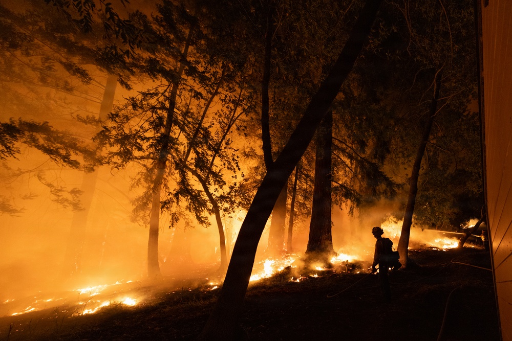 Timber Fire