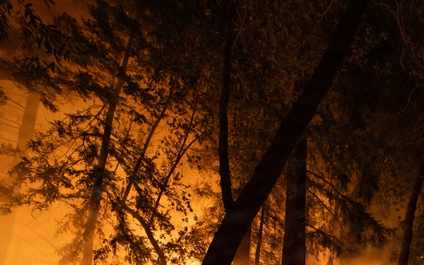 Timber Fire