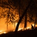 Timber Fire