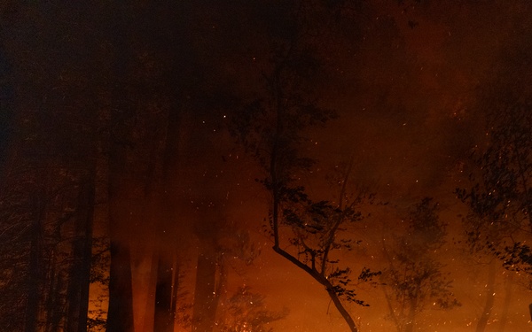 Timber Fire