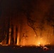 A nighttime wildfire is actively burning through a forested area, with intense orange and yellow flames illuminating the tree trunks and ground. The fire appears to be spreading along the forest floor with multiple ignition points visible. Dense smoke rises above the canopy, and glowing embers are scattered across the scene.