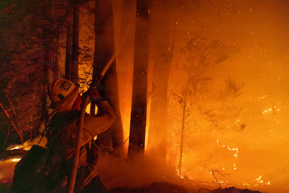 A firefighter is battling an intense wildfire in a forested area at night, directing a water hose toward towering flames engulfing the trees. The scene is dramatically lit by the orange glow of the fire, with embers visibly flying through the air. The firefighter is positioned close to the fire line, using tree trunks as partial cover while operating the hose.