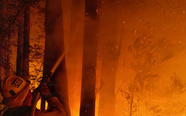Timber Fire