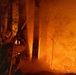 A firefighter is battling an intense wildfire in a forested area at night, directing a water hose toward towering flames engulfing the trees. The scene is dramatically lit by the orange glow of the fire, with embers visibly flying through the air. The firefighter is positioned close to the fire line, using tree trunks as partial cover while operating the hose.