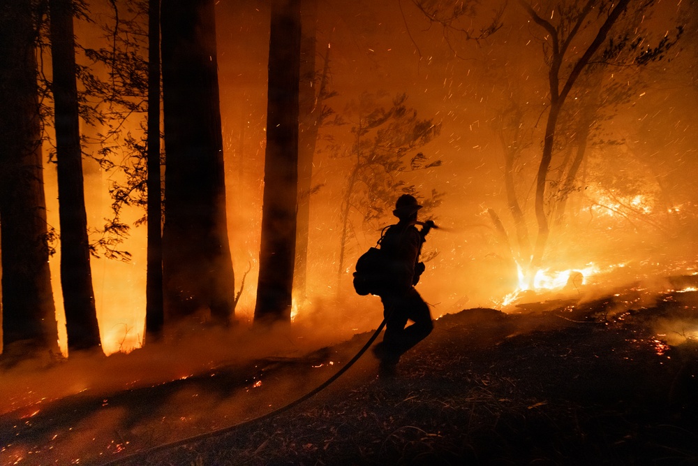 A firefighter is silhouetted against an intense wildfire burning through a forested area at night. The firefighter is carrying a hose and appears to be moving through the fire perimeter as flames and embers surround tall trees. The scene is dramatically lit entirely by the orange glow of the fire, creating extreme contrast between the dark foreground and the blazing background.