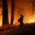 Timber Fire