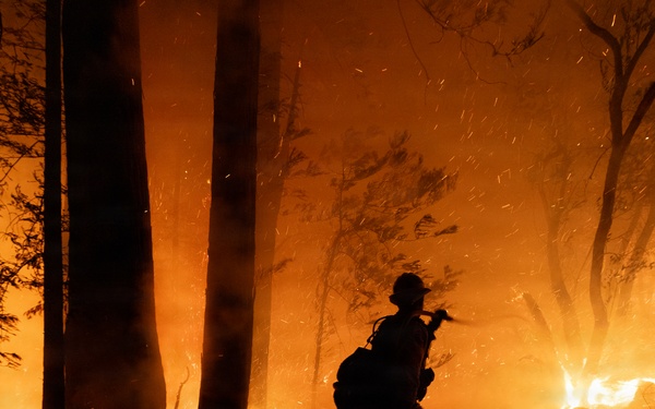 Timber Fire