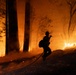 A firefighter is silhouetted against an intense wildfire burning through a forested area at night. The firefighter is carrying a hose and appears to be moving through the fire perimeter as flames and embers surround tall trees. The scene is dramatically lit entirely by the orange glow of the fire, creating extreme contrast between the dark foreground and the blazing background.