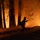 Timber Fire