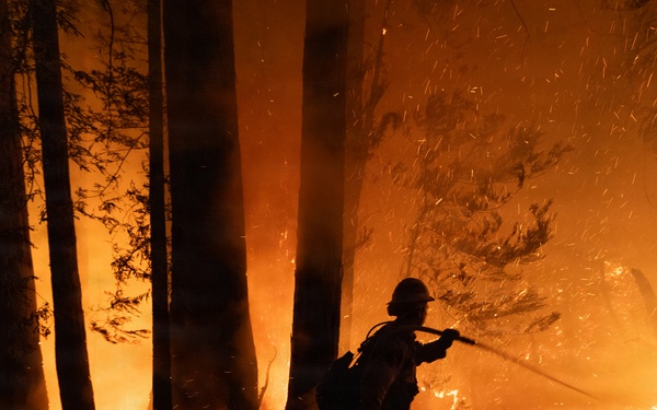 Timber Fire