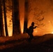 A firefighter in silhouette is actively battling a large wildfire in a forested area at night. The firefighter is directing a water hose toward the flames while surrounded by intensely burning trees and flying embers. The scene is dramatically lit by the orange glow of the fire, creating a high-contrast, dangerous working environment.