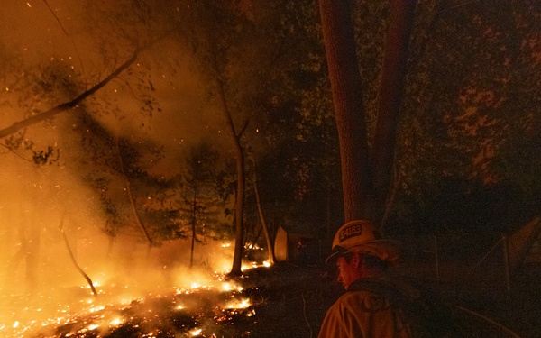 Timber Fire