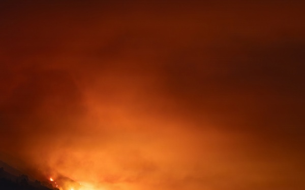 Timber Fire