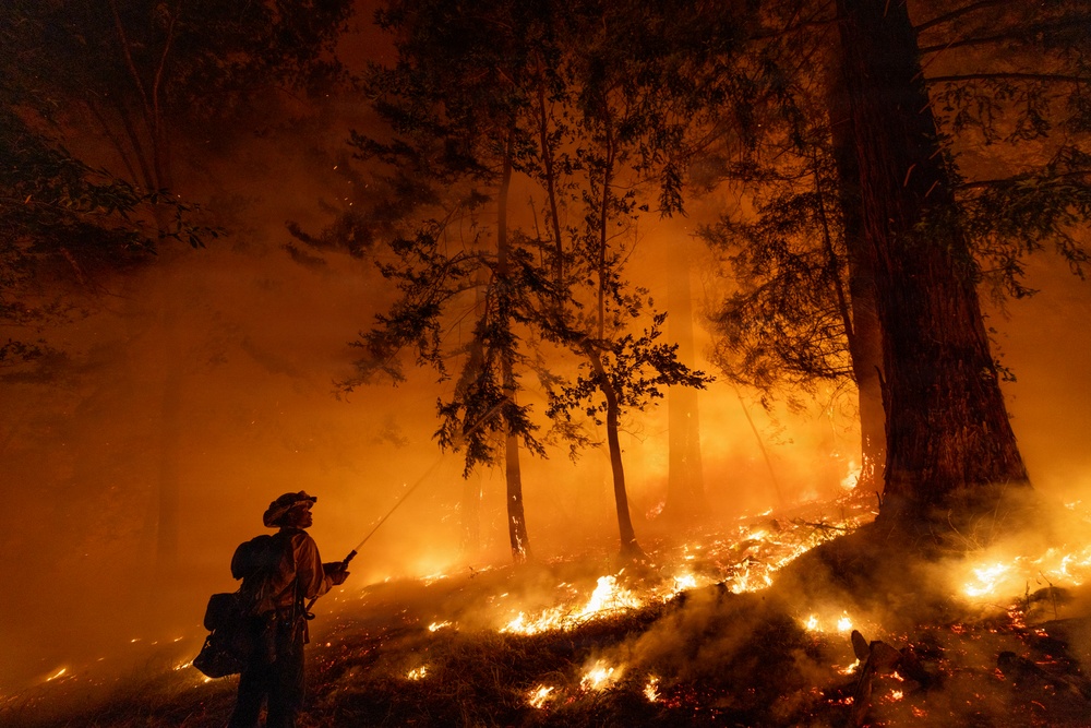 A firefighter stands in silhouette against an intense wildfire burning through a forested area at night or in low-light conditions. The fire is actively burning along the ground and among tall trees, with heavy orange-tinted smoke filling the atmosphere. The firefighter appears to be holding a tool, likely a hose or hand tool, while monitoring or working the fire line.