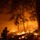 Timber Fire