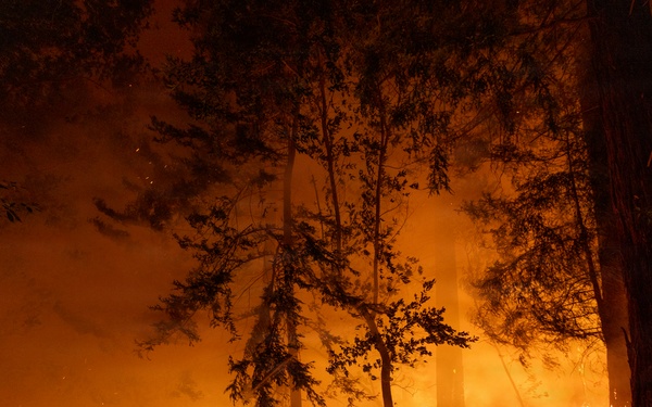 Timber Fire