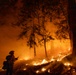 A firefighter stands in silhouette against an intense wildfire burning through a forested area at night or in low-light conditions. The fire is actively burning along the ground and among tall trees, with heavy orange-tinted smoke filling the atmosphere. The firefighter appears to be holding a tool, likely a hose or hand tool, while monitoring or working the fire line.