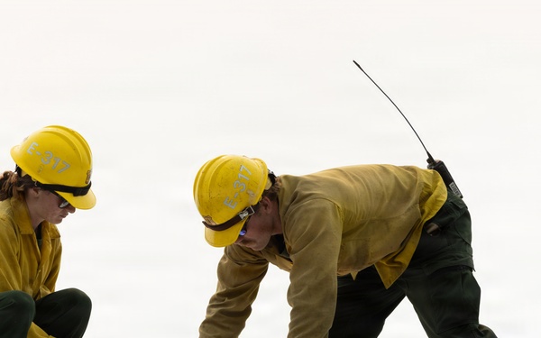 Plaskett Fire