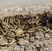 The image shows a large pile of spent brass cartridge casings scattered on sandy, gravelly ground. To the right, there is a separate pile of dark, fragmented metallic debris, likely shrapnel or deformed bullet fragments. The scene is consistent with a shooting range or post-firing cleanup area.