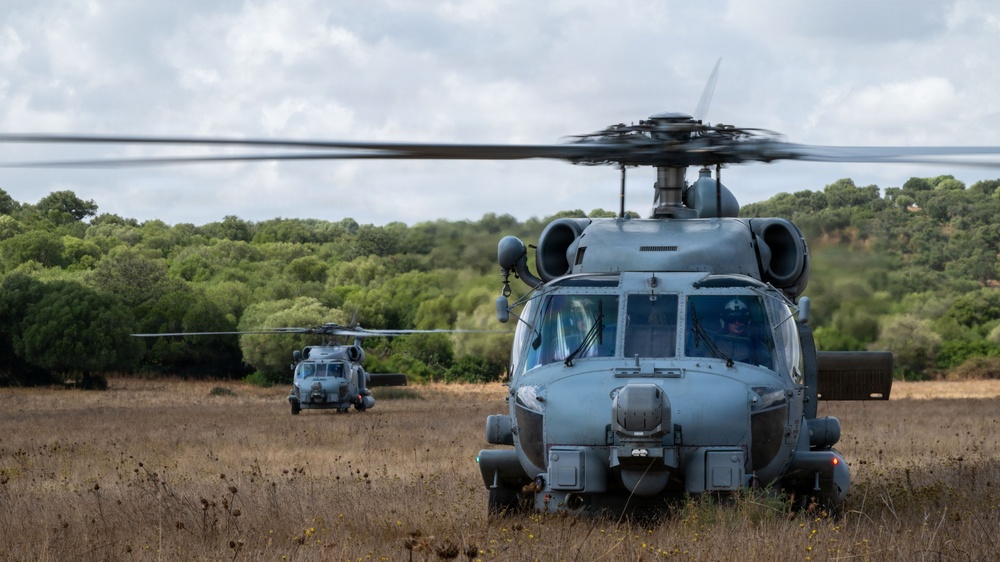 Two military helicopters, consistent with the Sikorsky HH-60 Pave Hawk or similar Black Hawk variant, are positioned in an open field with dry grass and sparse vegetation. The foreground helicopter has spinning rotors indicating it is powered up or preparing for takeoff, while a second helicopter is visible in the background. The setting appears to be a rural or semi-arid landscape with dense tree lines in the distance under an overcast sky.