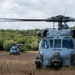 Two military helicopters, consistent with the Sikorsky HH-60 Pave Hawk or similar Black Hawk variant, are positioned in an open field with dry grass and sparse vegetation. The foreground helicopter has spinning rotors indicating it is powered up or preparing for takeoff, while a second helicopter is visible in the background. The setting appears to be a rural or semi-arid landscape with dense tree lines in the distance under an overcast sky.