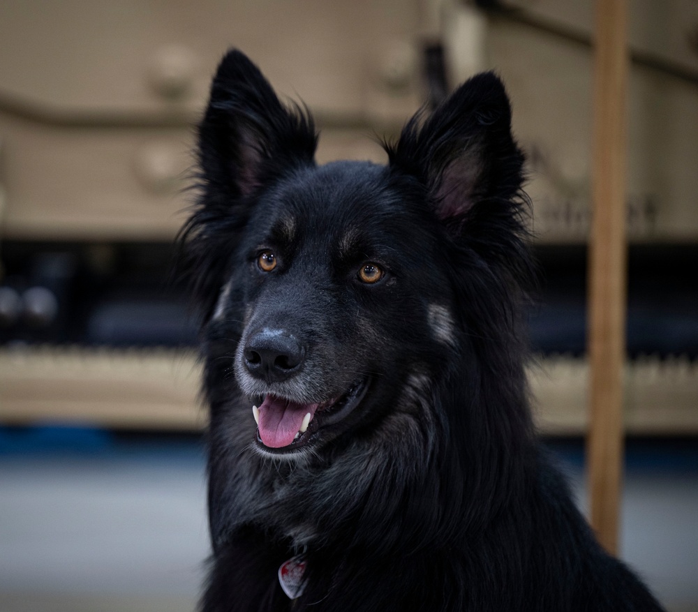 Airman's Best Friend