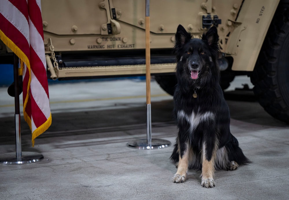 Airman's Best Friend