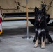 Airman's Best Friend