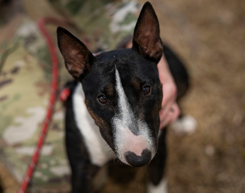 Airman's Best Friend