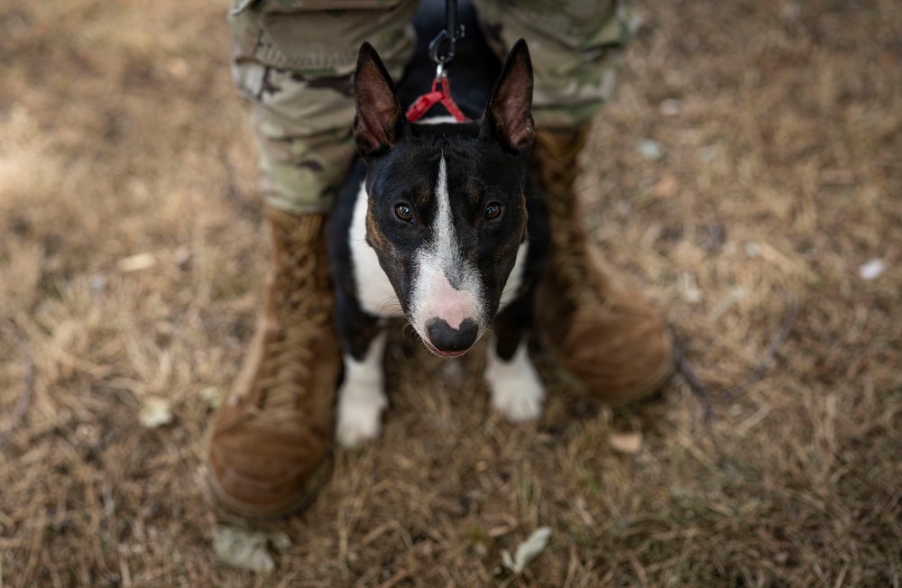 Airman's Best Friend