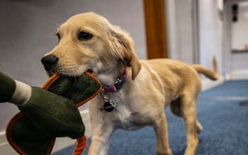 Airman's Best Friend