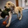 Airman's Best Friend
