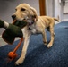 Airman's Best Friend