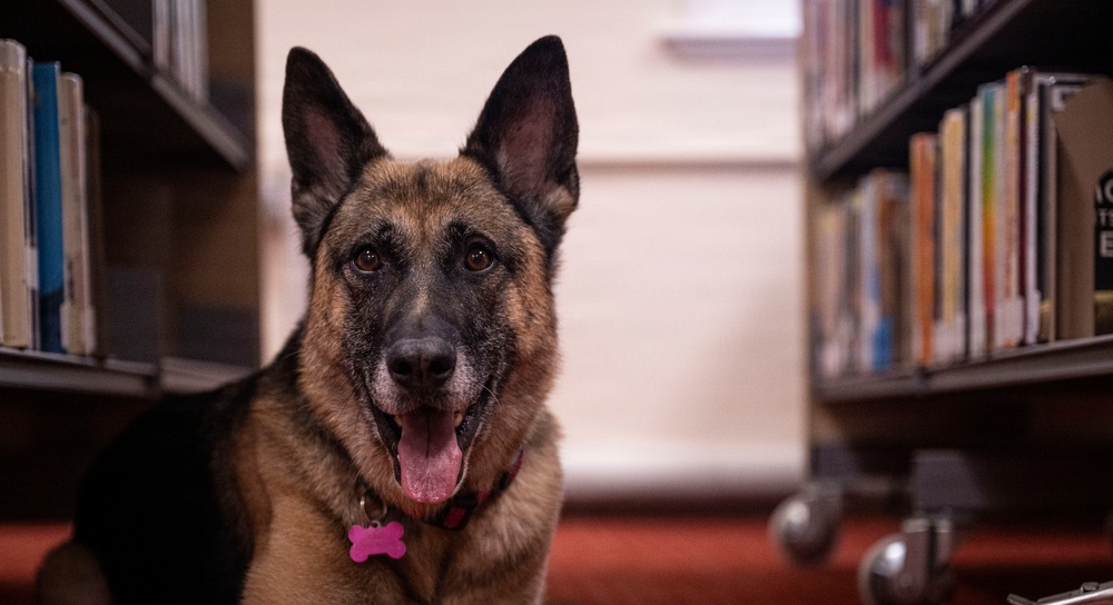 Airman's Best Friend