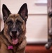 Airman's Best Friend