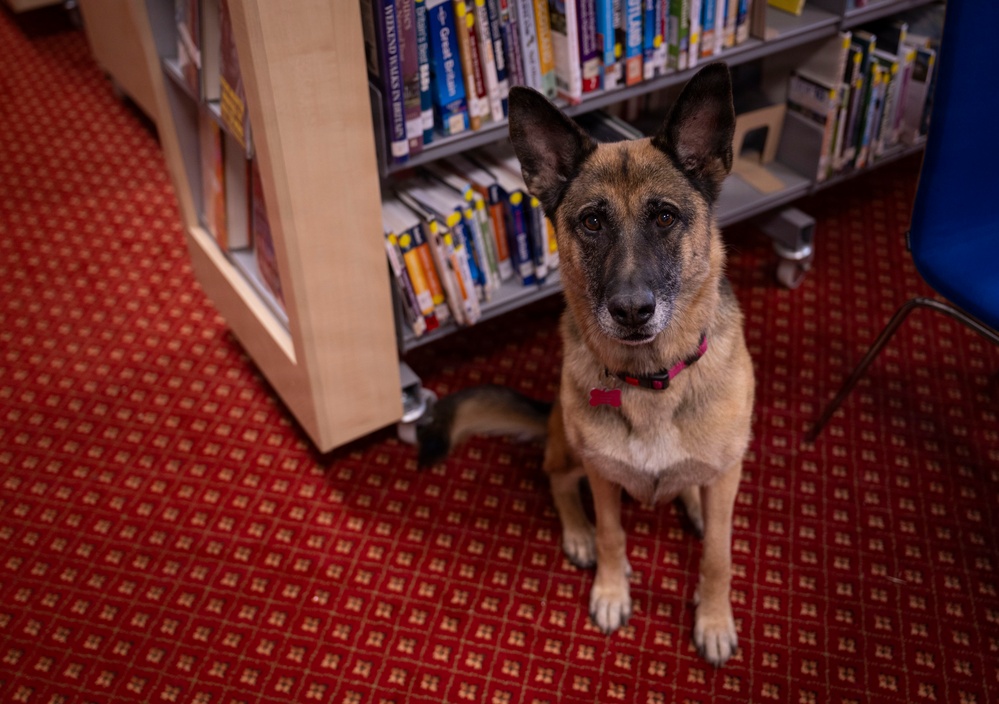Airman's Best Friend