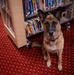 Airman's Best Friend