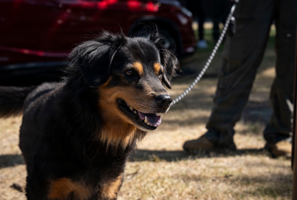 Airman's Best Friend