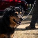 Airman's Best Friend